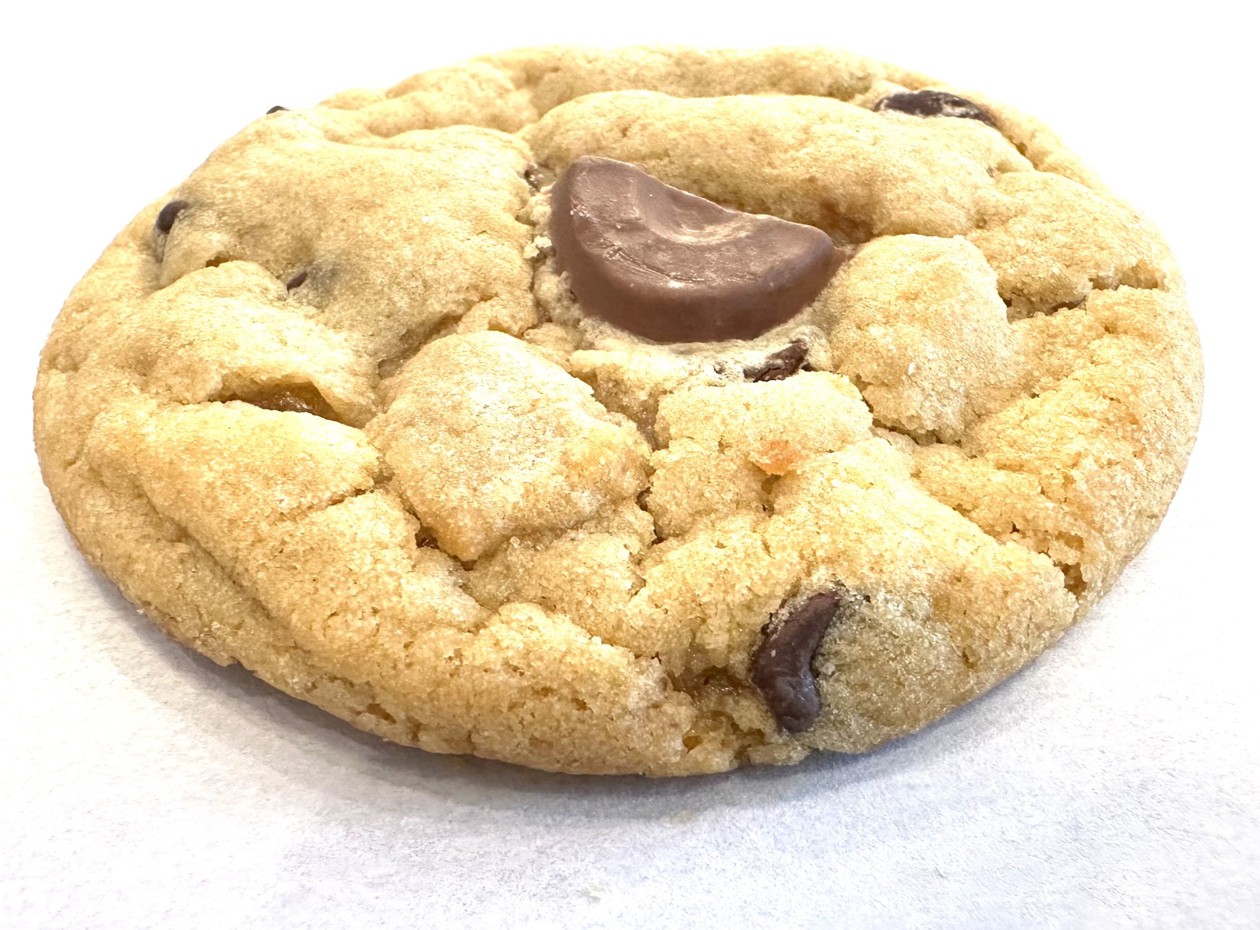 Chocolate Chip Cookie