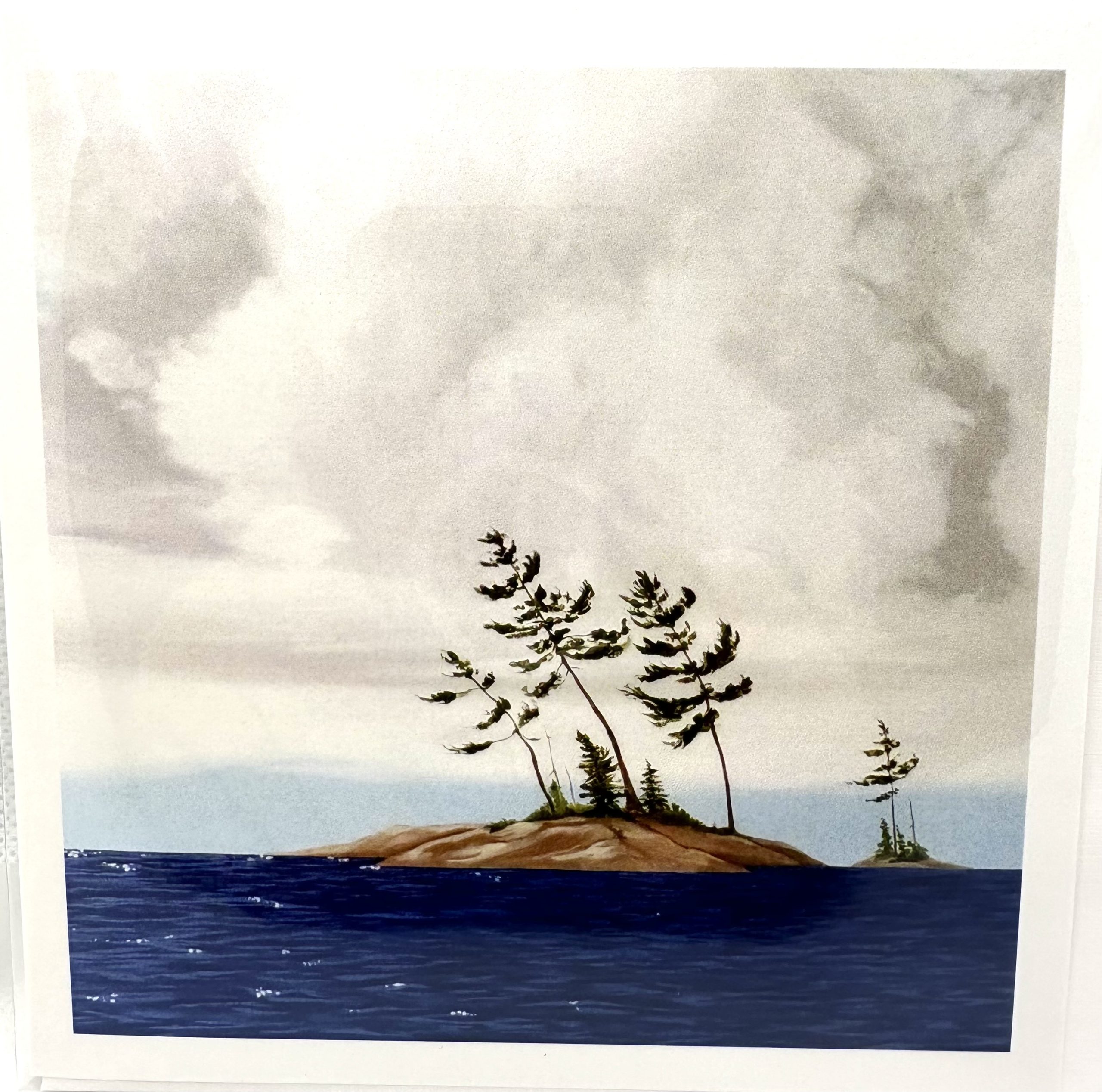 Greeting Cards by Tammy Coo - Windswept