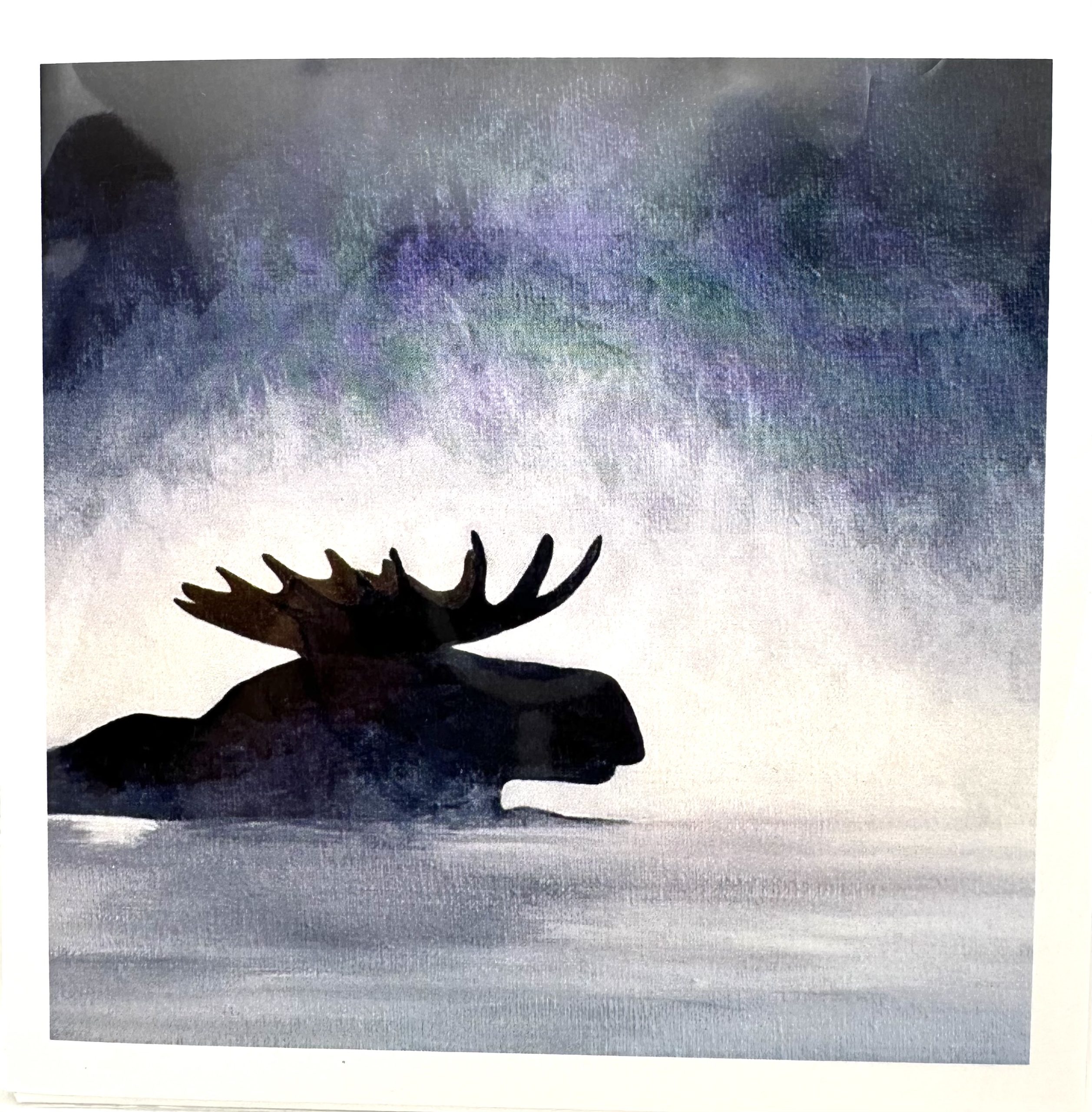 Greeting Cards by Tammy Coo - Morning Swim