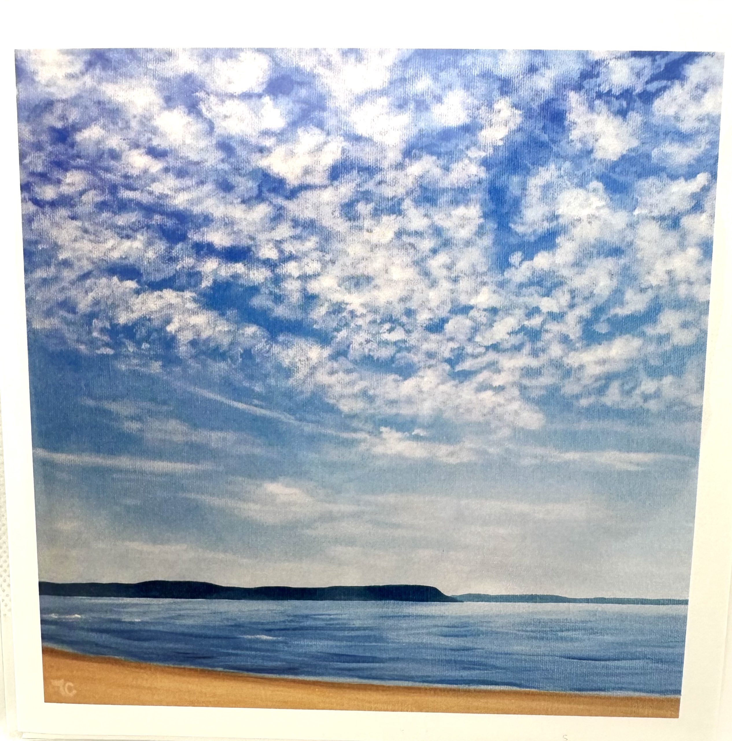 Greeting Cards by Tammy Coo - A Walk On The Beach
