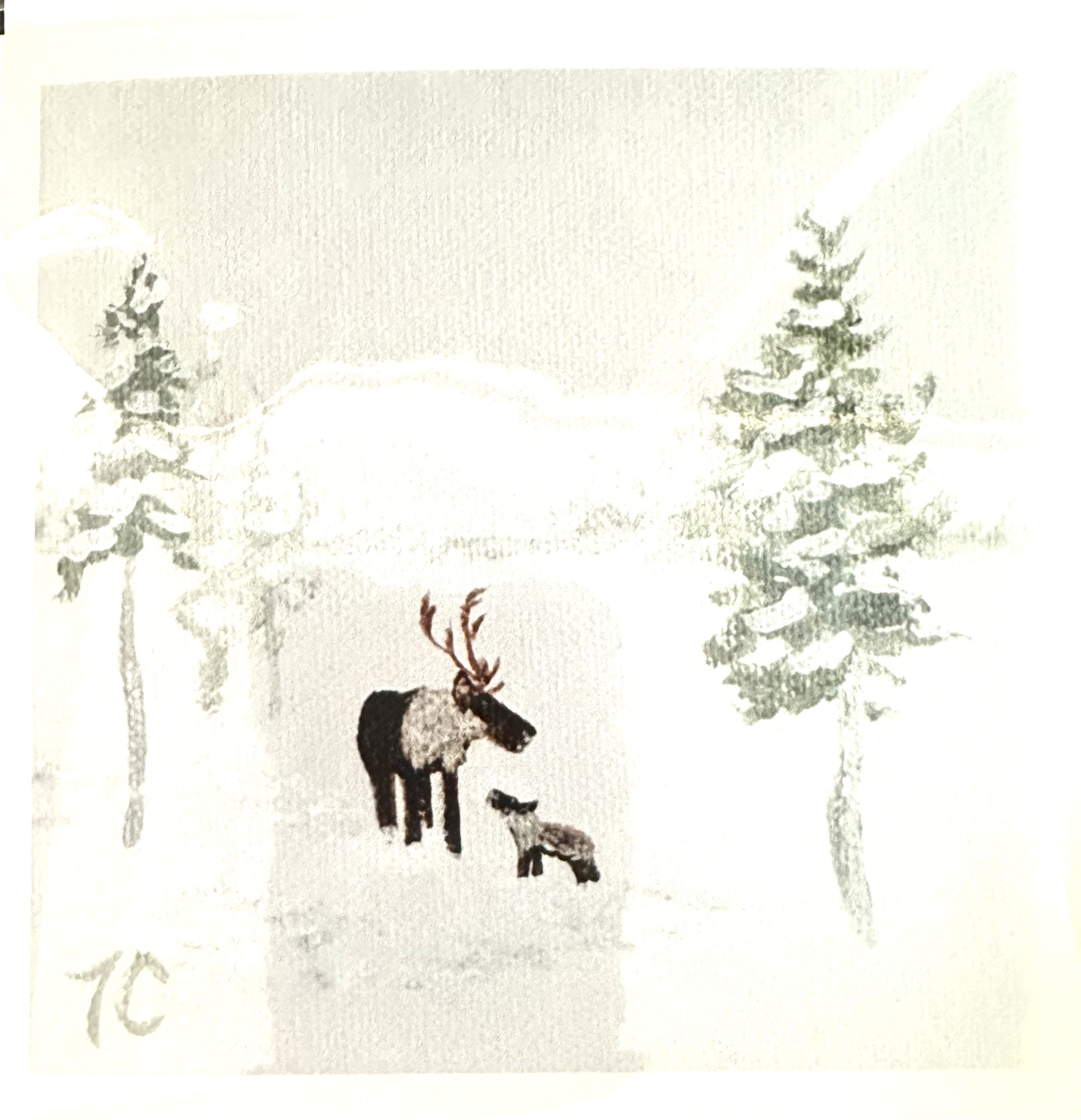 Greeting Cards by Tammy Coo - First Winter