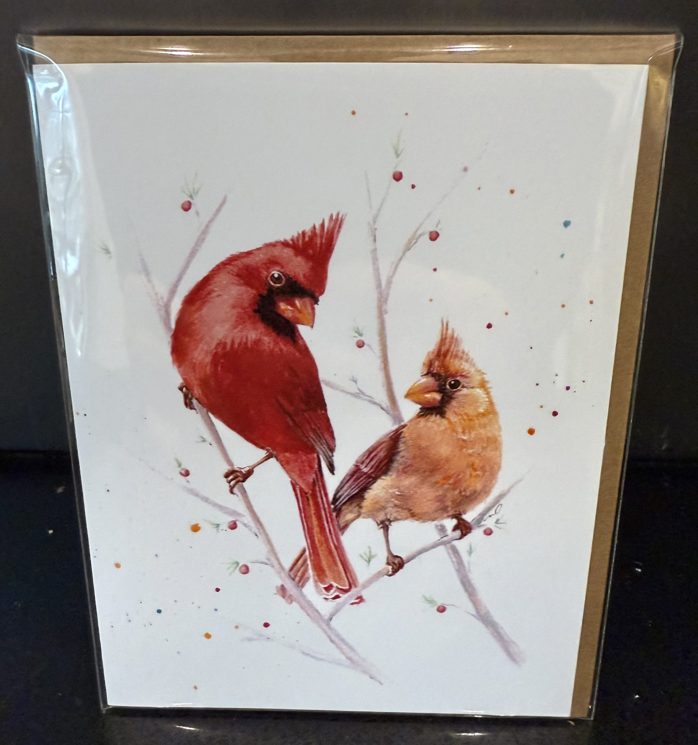 Greeting Cards by Melissa Van Dam - What a Pair