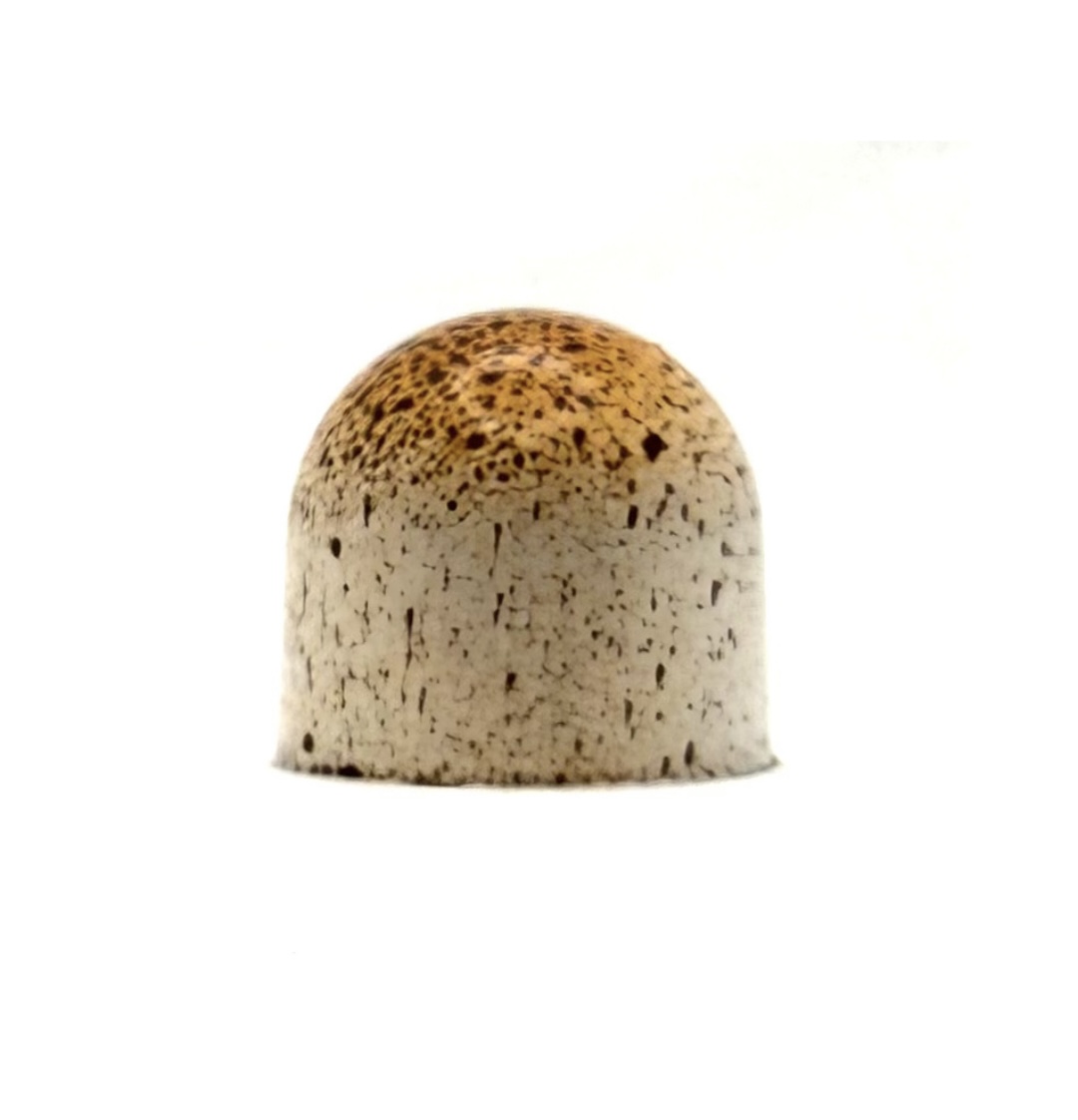 Crème Brûlée (Dark) (G)