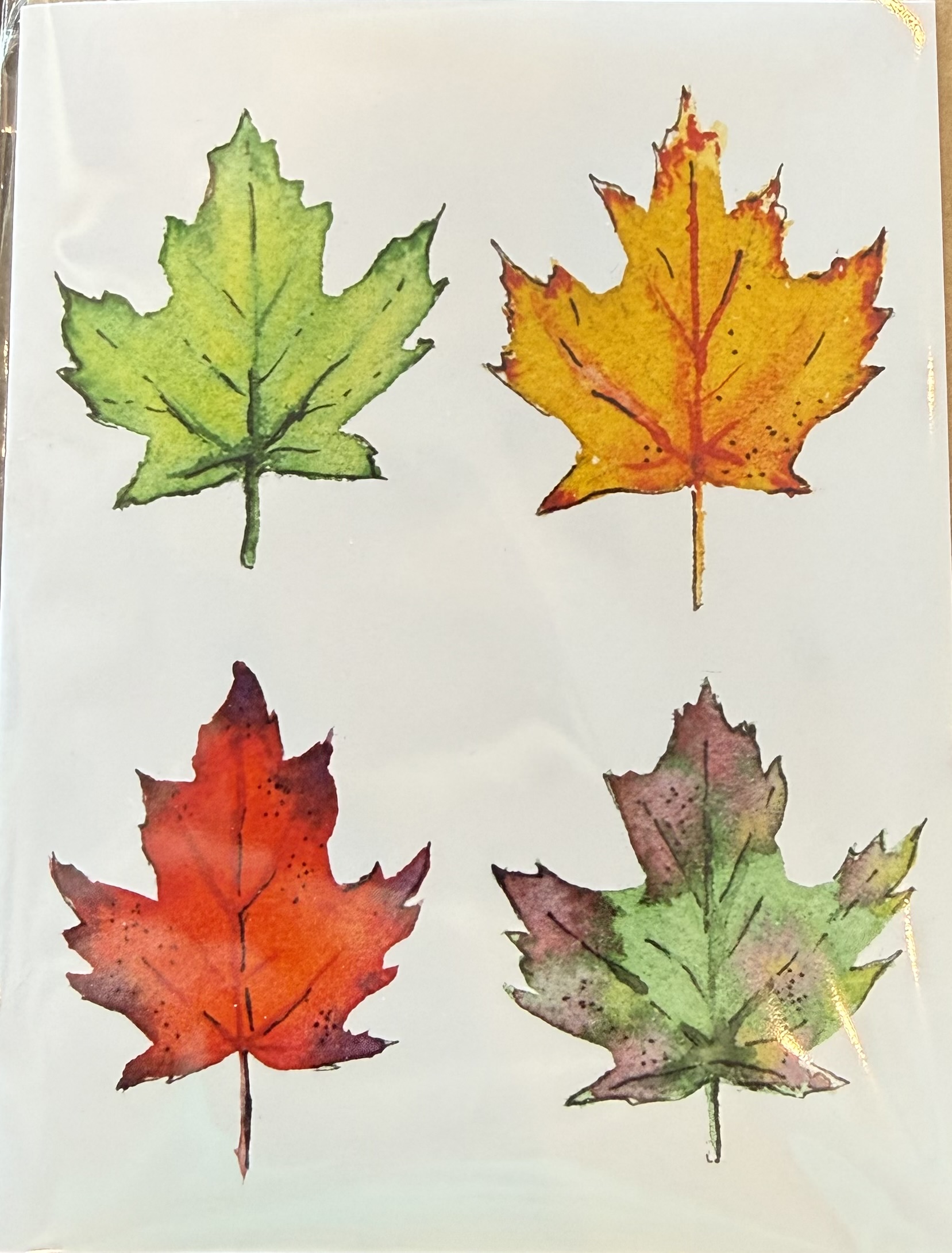 Greeting Cards by Melissa Van Dam - Maple Leaves 2x2