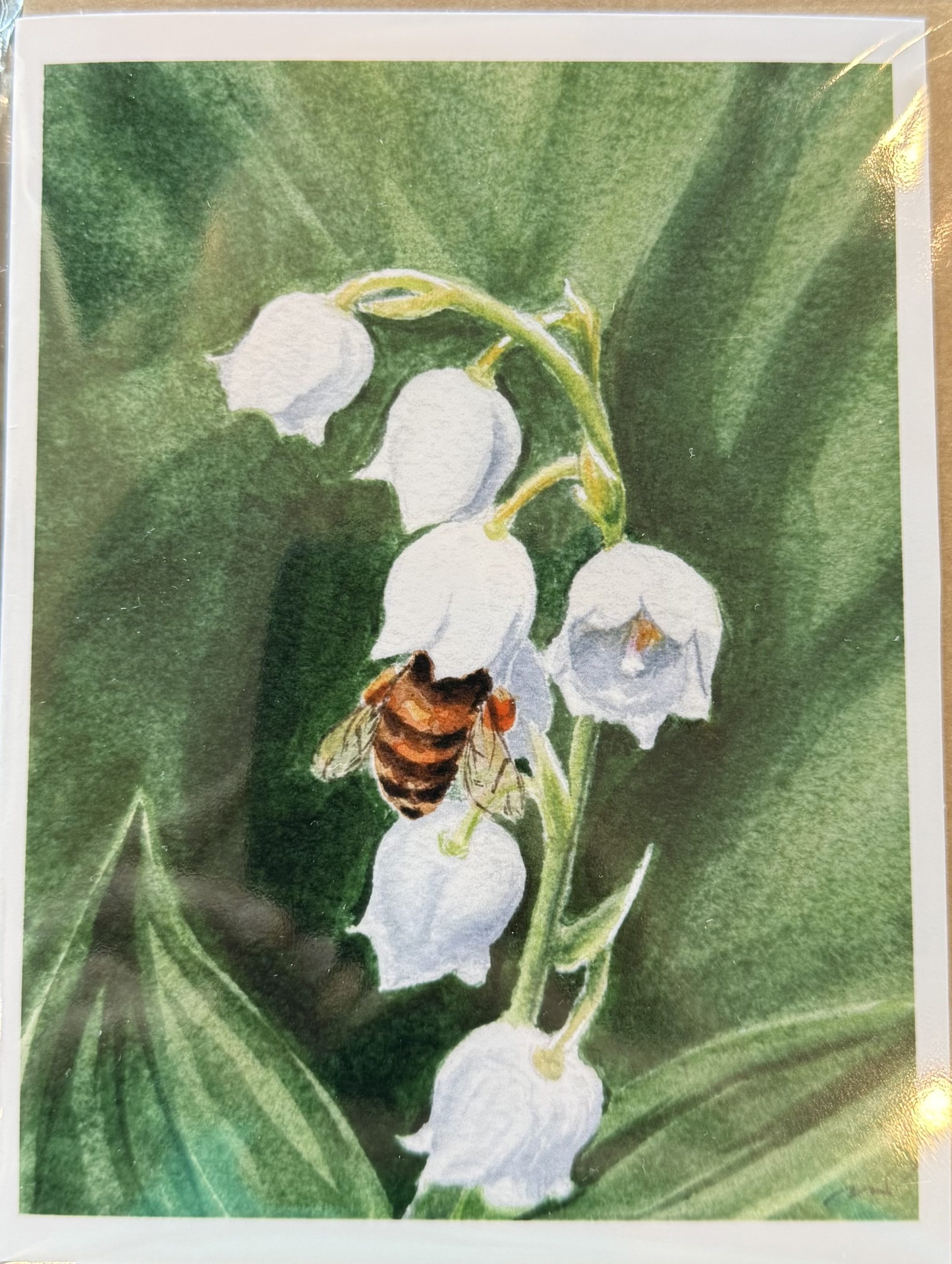 Greeting Cards by Melissa Van Dam - Lily of the Valley