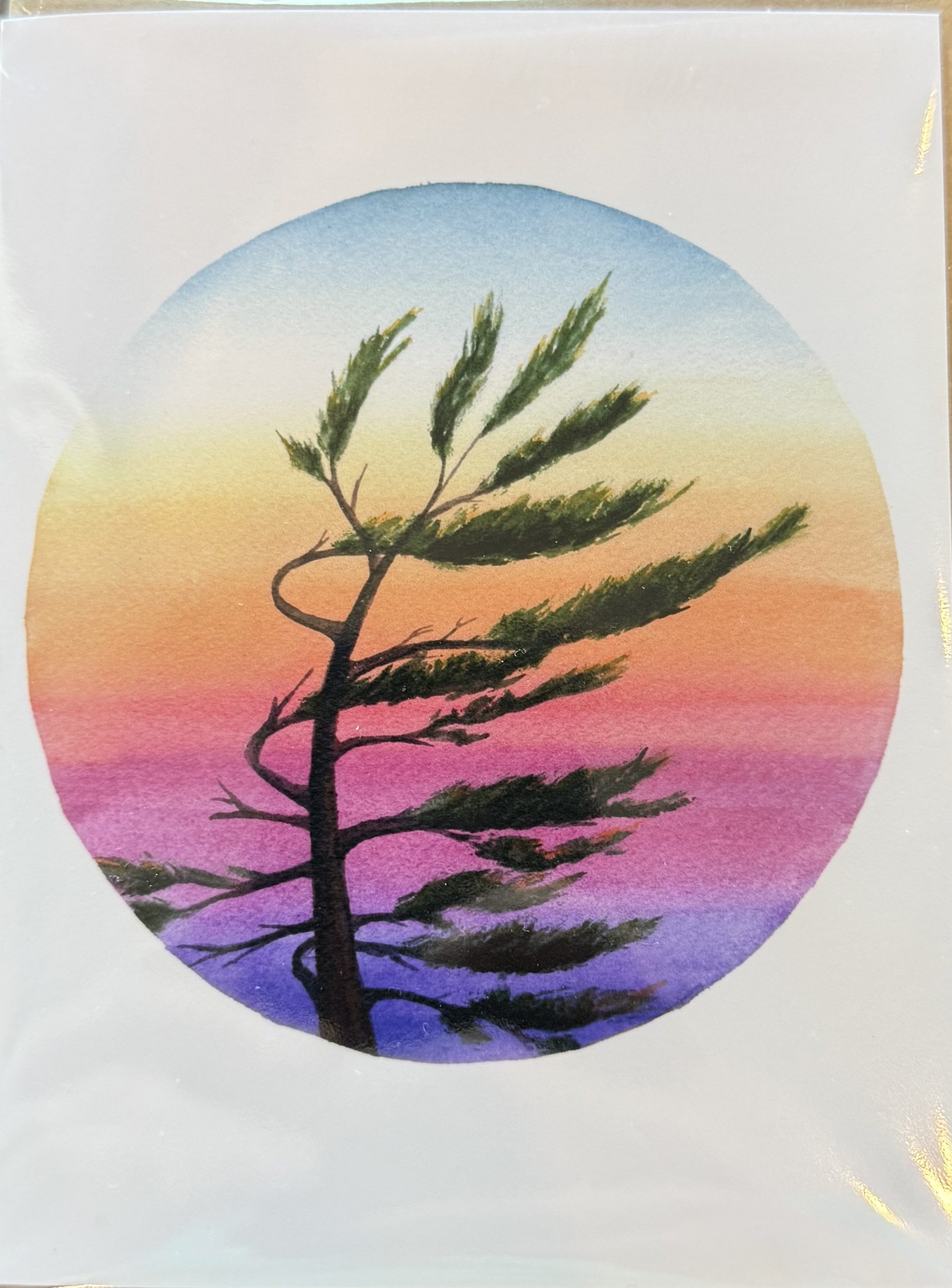 Greeting Cards by Melissa Van Dam - Eden's Sunset
