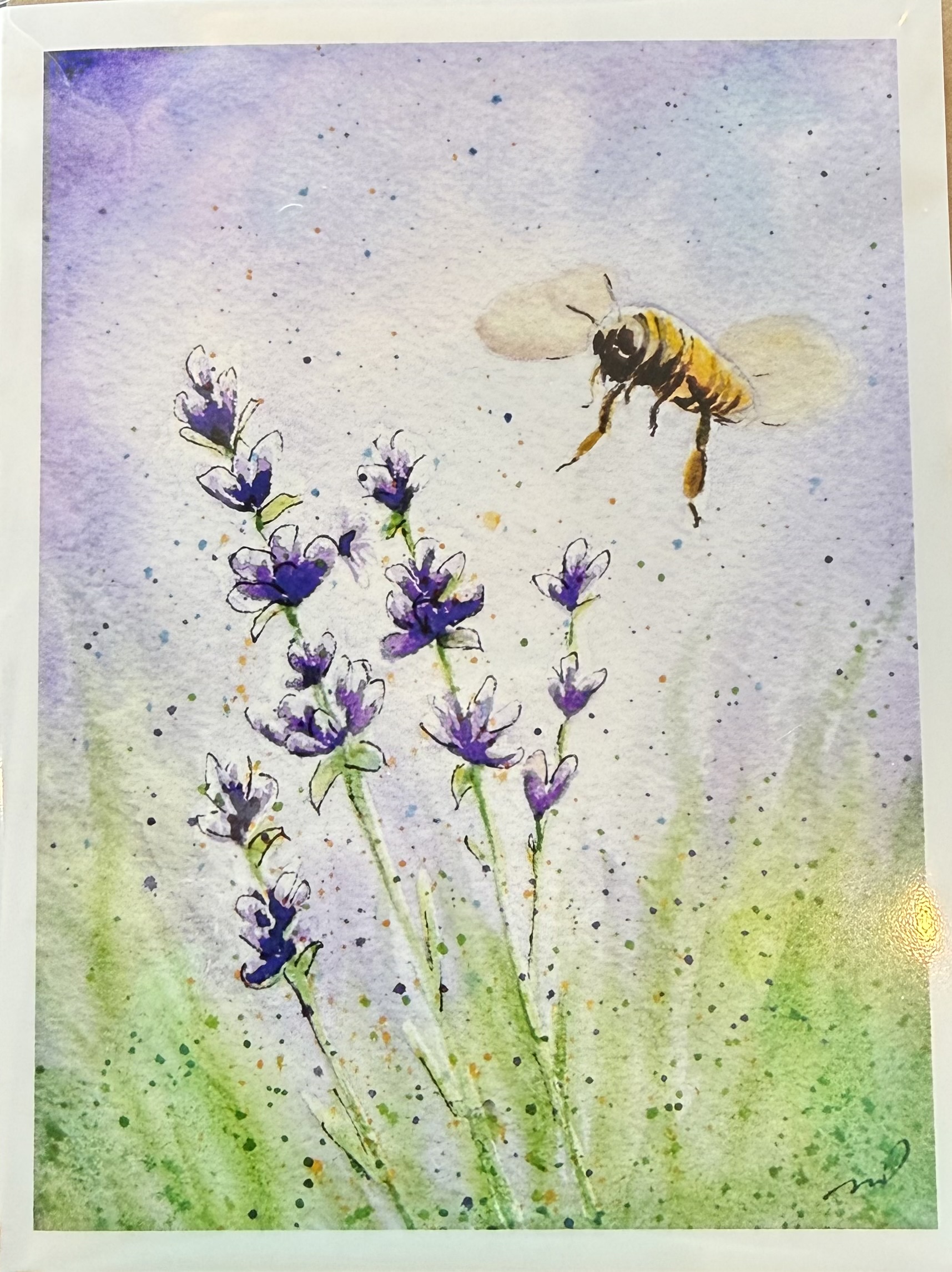 Greeting Cards by Melissa Van Dam - Seeker